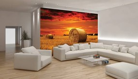 Fototapet - Câmp (152,5x104 cm)