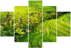 Tablou - Terase de orez (150x105 cm)