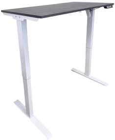 Birou reglabil electric-TerrA2DS WHITE-profil dreptunghiular, profil cadru ALB (Dimensiune blat: 137x67 cm, Culoare blat: Alb 25mm)