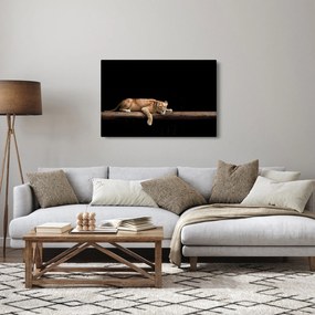 Tablou - Lioness (90x60 cm)