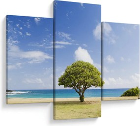 Tablou plaja cu copac (90x60 cm)