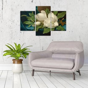 Tablou - Martin Johnson Heade, Giant Magnolias on a Blue Velvet Cloth, reproducere (90x60 cm)