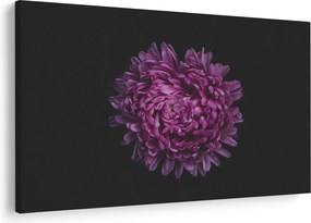 Tablou cu floare violetă (90x60 cm)