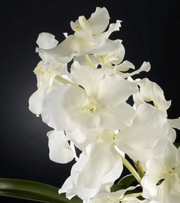 Aranjament floral elegant VANDA 1141013.95