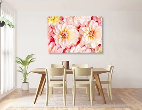 Tablou flori delicate de dalia