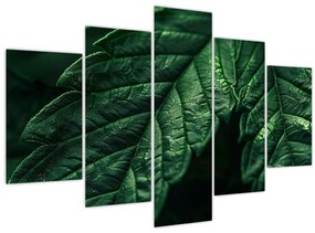 Tablou - Detaliu al foii (150x105 cm)