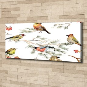 Tablou pe pânză canvas Plante forest păsări