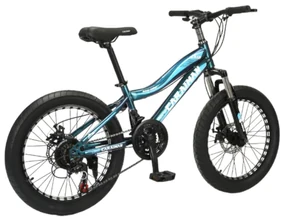 Bicicleta Caraiman, roti 20 inch, cadru otel, frane pe disc, albastra, BC21
