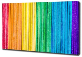 Tablou canvas Dungi colorate