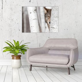 Tablou - Lup (70x50 cm)