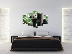 Tablou - Panda in copac (150x105 cm)