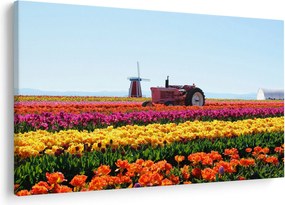 Tablou cu farma de lalele (90x60 cm)