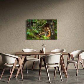 Tablou - Tigru odihnindu -se (90x60 cm)