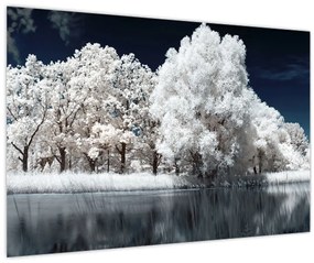 Tablou - Albă ca Zăpada Albă ca Zăpada Copaci (90x60 cm)