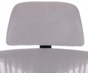 Scaun rotativ ergonomic de birou Ergomax gri deschis