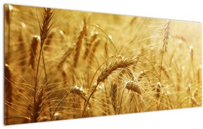 Tablou - Spice de cereale (120x50 cm)