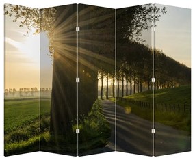 Paravan - Alee (210x170 cm)