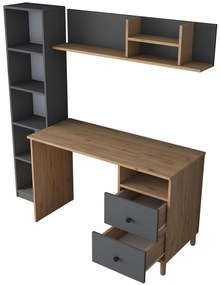 Masă PC Halinka (Nuc + antracit) . 1102174