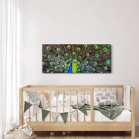 Tablou - Păun (120x50 cm)