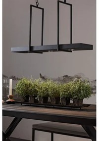 Markslöjd 105780 - LED Lustră dimmabilă pe lanț TRAY 3xLED/3W/230V negru