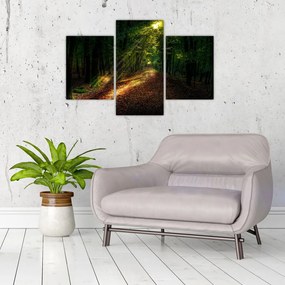 Tablou cu poteca prin pădure (90x60 cm)