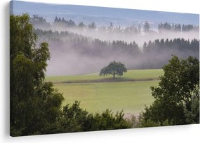 Tablou - Lunca cu copac (90x60 cm)