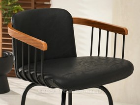 Scaun Hectore (nuc închis + antic). 1110628