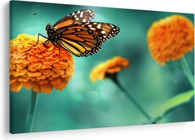 Tablou cu fluture (90x60 cm)