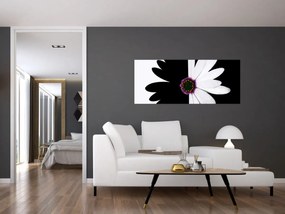 Tablou - Floare, alb- negru (120x50 cm)