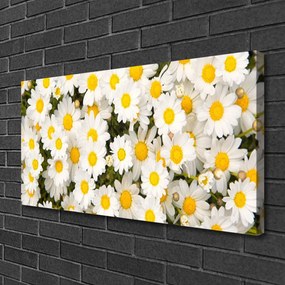 Tablou pe panza canvas Daisy Floral Galben Alb