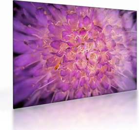 Tablou pe sticlă detailat cu floare (70x50 cm)