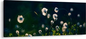 Tablou - Iarbă (120x50 cm)