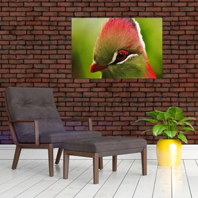 Tablou cu pasărea colorată (90x60 cm)