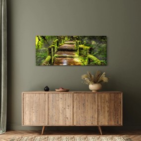Tablou cu scări într-o pădure tropicală (120x50 cm)