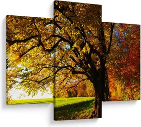 Tablou cu toamna (90x60 cm)