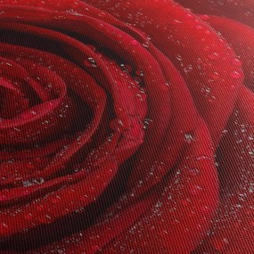 Tablou - detaliu de trandafir (120x50 cm)