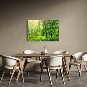 Tablou - Pădurea cu frunze de primăvară (90x60 cm)