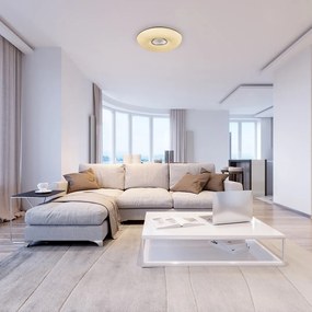 Plafoniera LED cu telecomanda design modern Tayla, 50cm 3328 RX