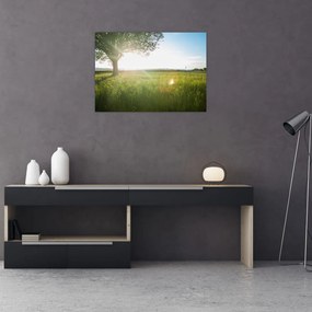 Tablou pe sticlă cu lunca în vară (70x50 cm)