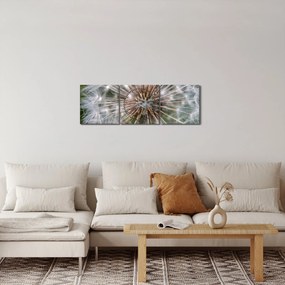 Tablou cu păpădie (cu ceas) (90x30 cm)
