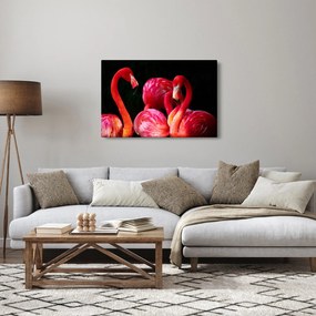 Tablou cu flamengo roșii (90x60 cm)