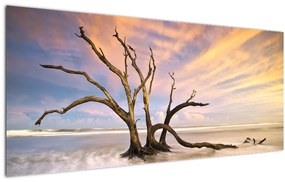 Tablou - Copacul în ocean (120x50 cm)