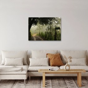 Tablou cu ceața de dimineața (70x50 cm)