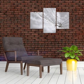 Tablou - Picătură de apă (90x60 cm)