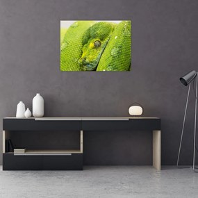 Tablou pe sticlă cu șarpe (70x50 cm)