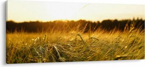 Tablou iarba cu rouă (120x50 cm)