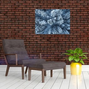 Tablou pe sticlă - Pădure înzăpezită (70x50 cm)