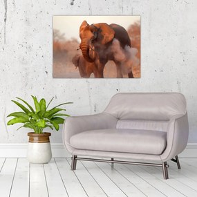 Tablou pe sticlă - Marele elefant african (70x50 cm)