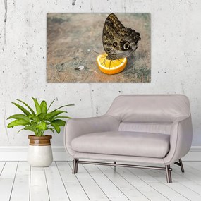 Tablou cu fluturi (90x60 cm)