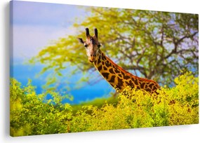 Tablou - Girafa în Africa (90x60 cm)